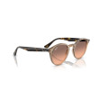 Women's Sunglasses Ray Ban 2180 678846 Luxury new collection