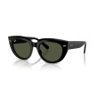 Women's Sunglasses Ray Ban 2286 901/31 Luxury new collection