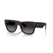 Occhiali da sole donna Ray Ban 4840S 601ST3 Luxury nuova collezione