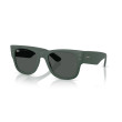 Occhiali da sole donna Ray Ban 4840S 665787 Luxury nuova collezione