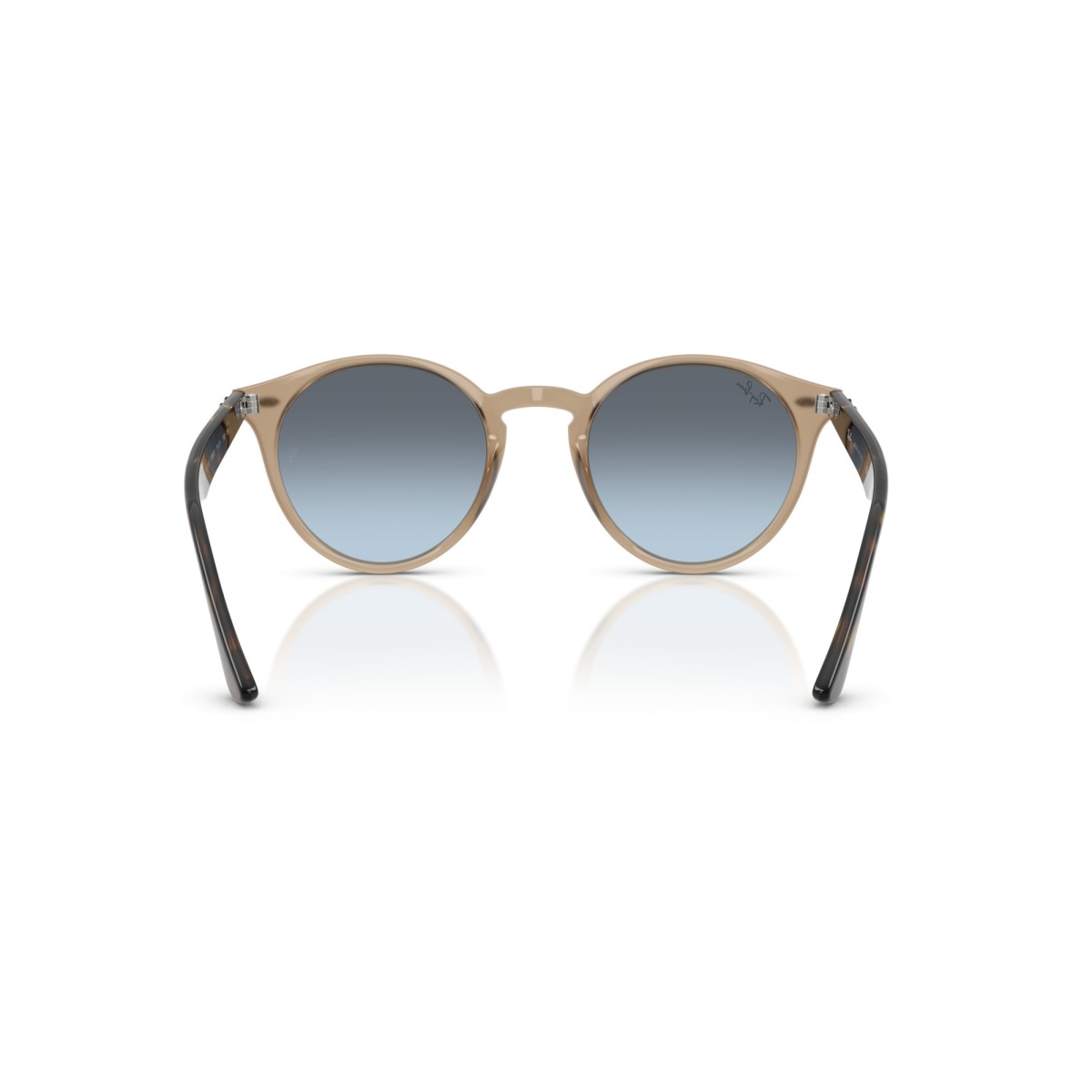 Occhiali da sole donna Ray Ban 2180 6788V1 Luxury nuova collezione