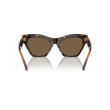 Women's Sunglasses Burberry 4420U 3002/73 Luxury new collection