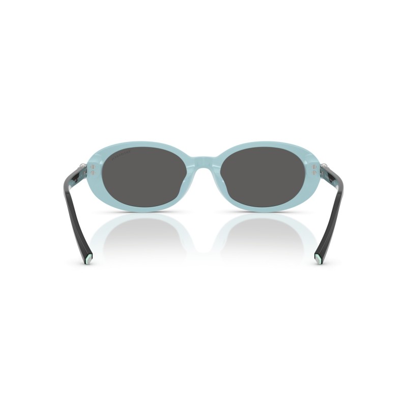 Women's Sunglasses Tiffany & Co. 4242D 8055S4 Luxury New Necklace