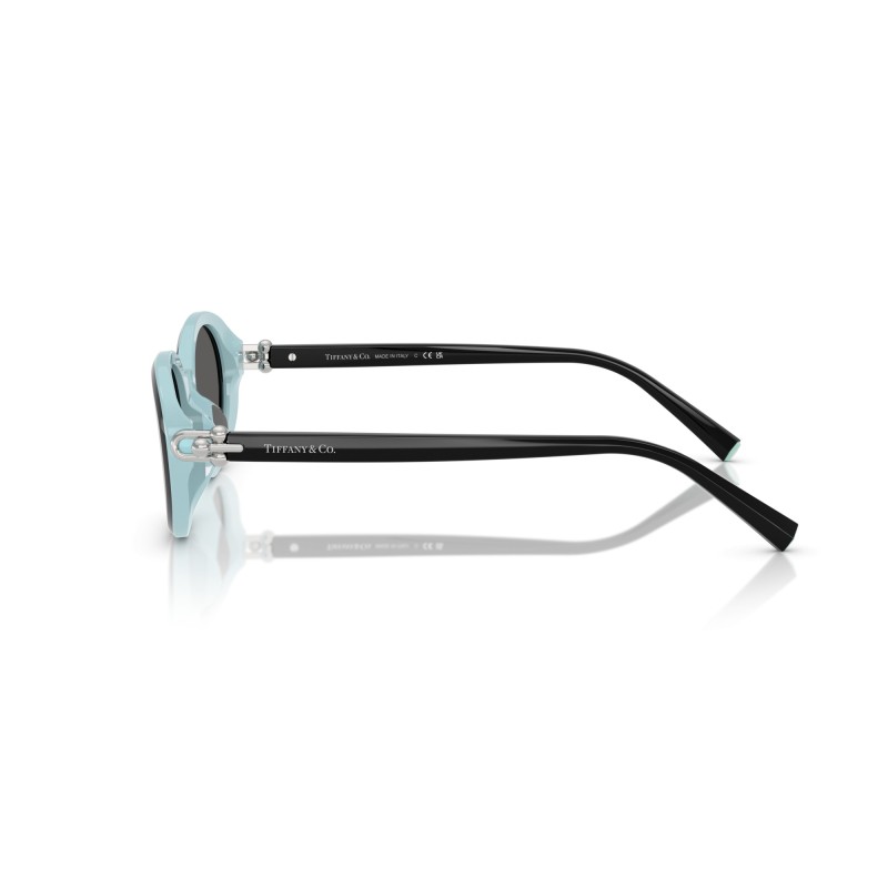 Women's Sunglasses Tiffany & Co. 4242D 8055S4 Luxury New Necklace