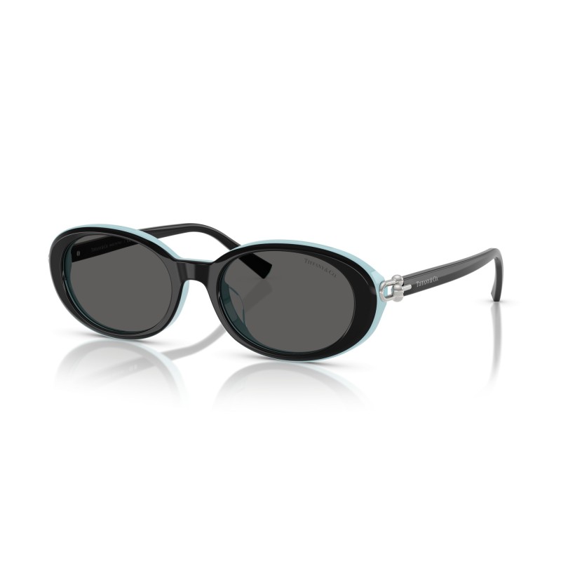 Women's Sunglasses Tiffany & Co. 4242D 8055S4 Luxury New Necklace