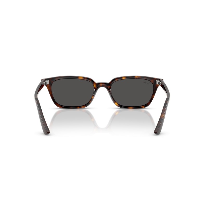 Women's Sunglasses Ray Ban 4456 135987 - Zaya Luxury New Collection