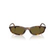 Women's Sunglasses Miu Miu A06S 14L09Z Luxury new collection