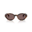Women's Sunglasses Persol 3378S 105253 - Loris Luxury new collection