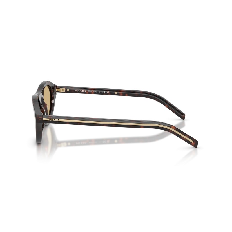 Women's Sunglasses Miu Miu 11WS 4BW2Z1 Luxury new collection