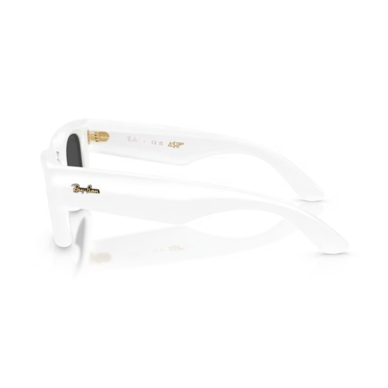 Women's Sunglasses Ray Ban 4940 671/87 - Wayfarer puffer Asap R...