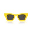 Dames zonnebrillen Ray Ban 4940 683087 - Wayfarer puffer Asap R...