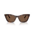 Women's Sunglasses Emporio Armani 4259U 502673 Luxury New Collection...