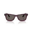 Women's Sunglasses Ray Ban 2140 902/R5 - Wayfarer Luxury New ...
