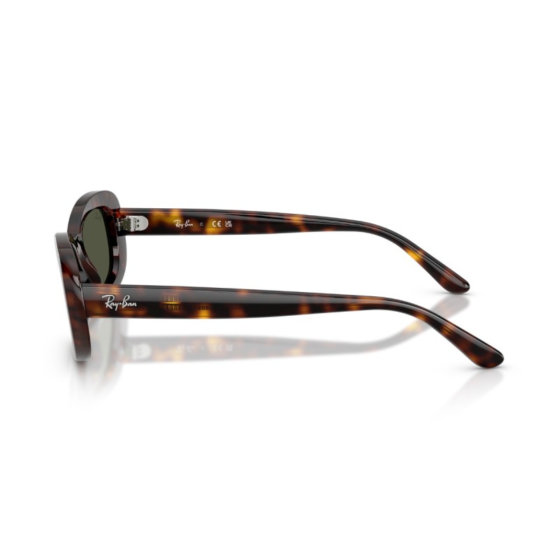 Dames zonnebrillen Ray Ban 2221 902/31 Luxe nieuwe collectie