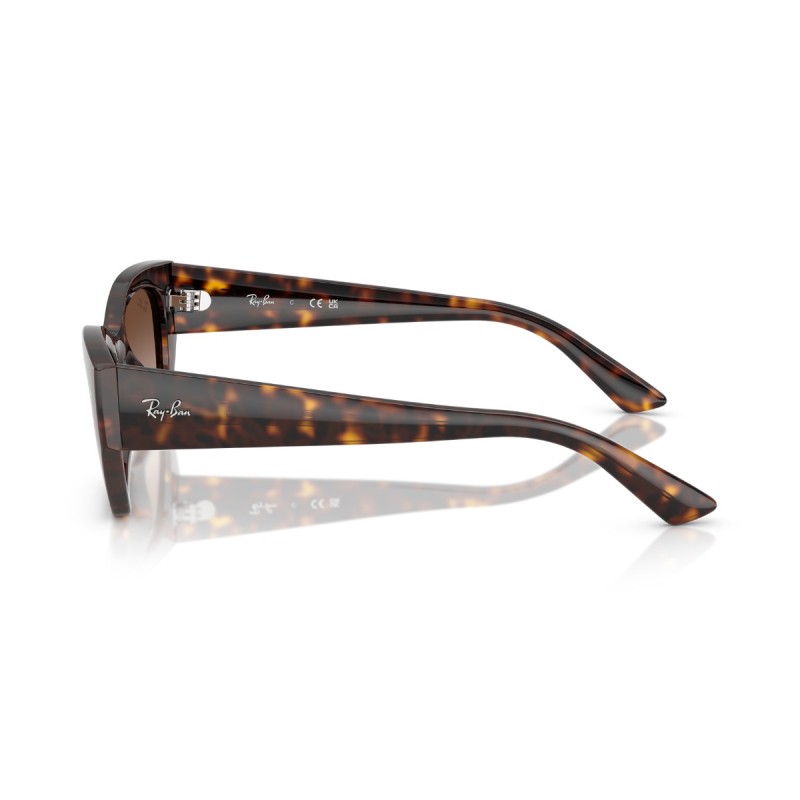 Women's Sunglasses Ray Ban 4430 135913 Luxury new collection