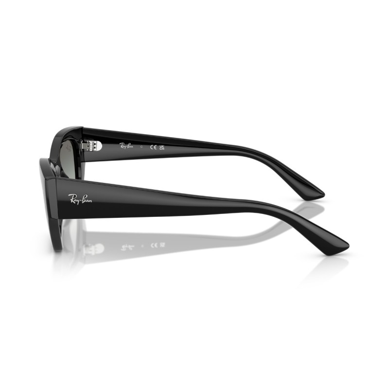 Women's Sunglasses Ray Ban 4430 667711 Luxury new collection