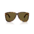 Miu Miu MU A08S 14L09Z Honey Havana Aviator Sunglasses