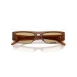 Miu Miu MU B07S 22I10R Sunglasses - Honey Brown & Yellow