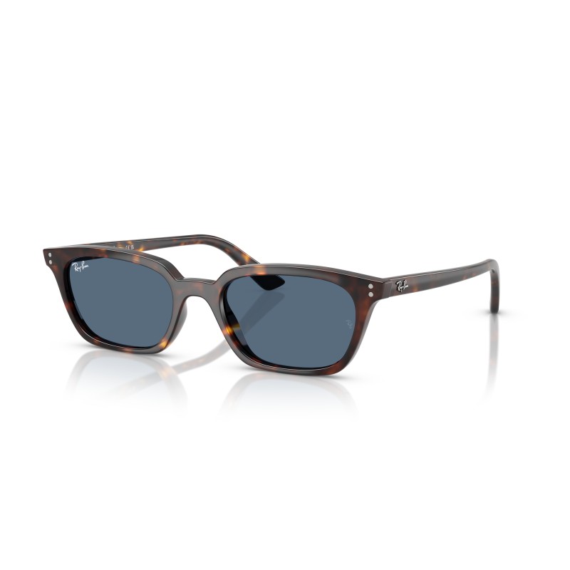 Ray-Ban Zaya RB4456 1359/80 Dark Tortoise & Blue Lenses