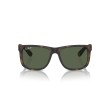Ray-Ban Justin RB4165 865/9A Polarized Havana Sunglasses