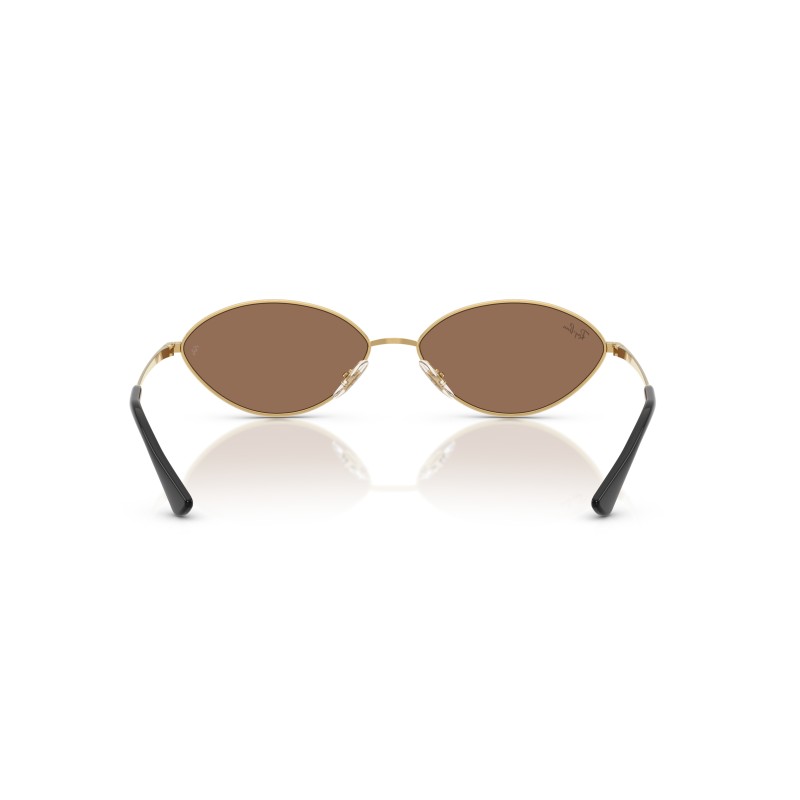 Ray-Ban Kai RB3757 001/73 Gold & Brown Sunglasses