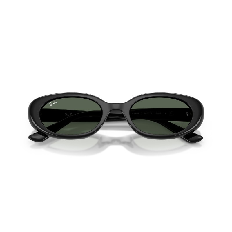 Ray-Ban RB4441D 667771 | Lunettes de Soleil Ovales Noir & Vert