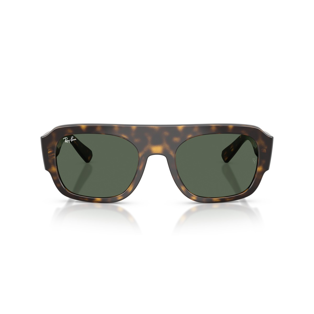 Ray-Ban RB4441D 667771 | Occhiali da Sole Ovali Neri