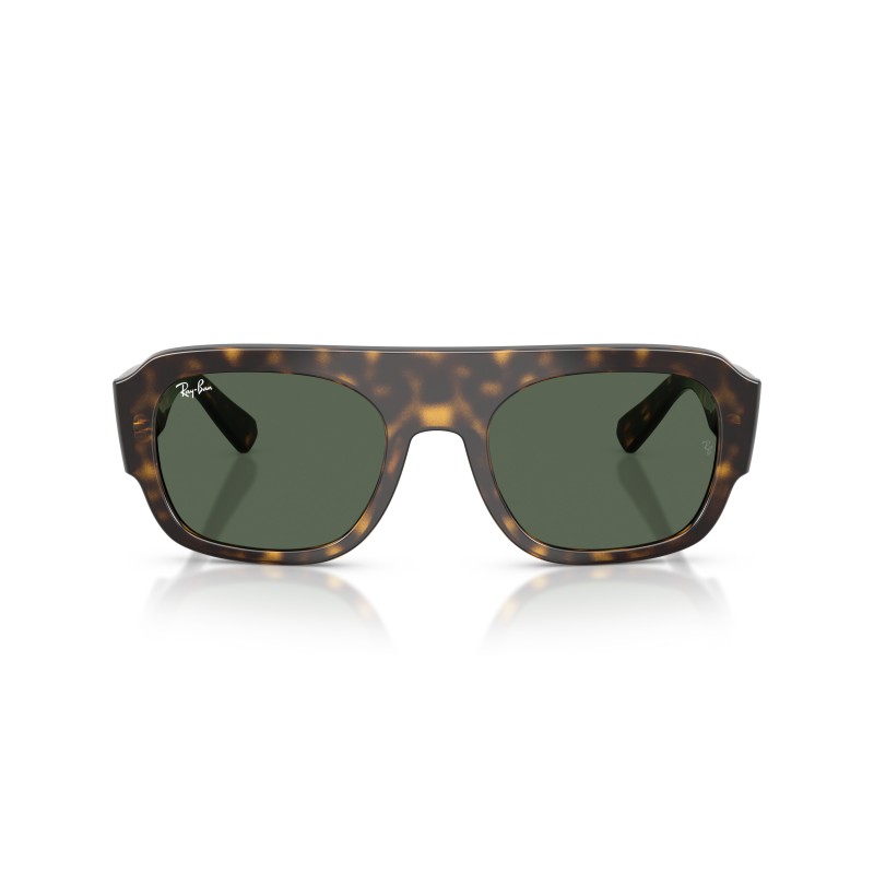 Ray-Ban RB4441D 667771 Sunglasses | Black Oval Green Lens