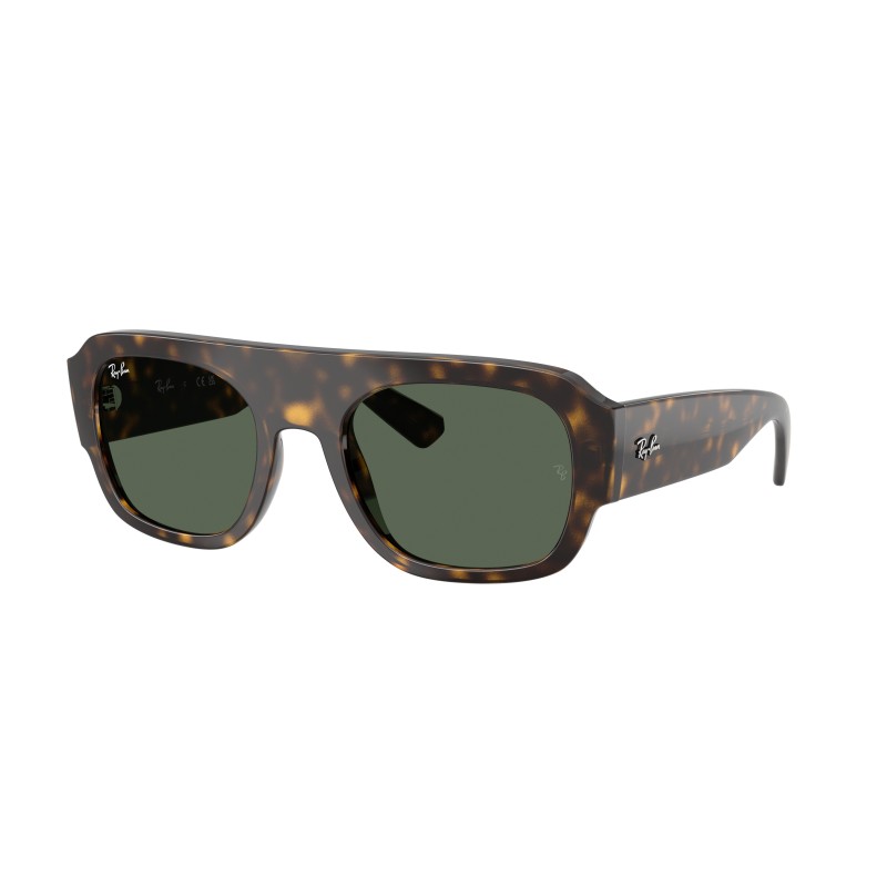 Ray-Ban RB4441D 667771 Sunglasses | Black Oval Green Lens
