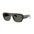 Ray-Ban RB4441D 667771 | Lunettes de Soleil Ovales Noir & Vert