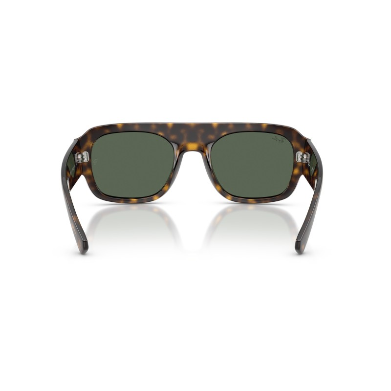 Ray-Ban RB4441D 667771 | Occhiali da Sole Ovali Neri