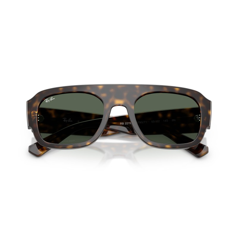Ray-Ban RB4441D 667771 | Lunettes de Soleil Ovales Noir & Vert