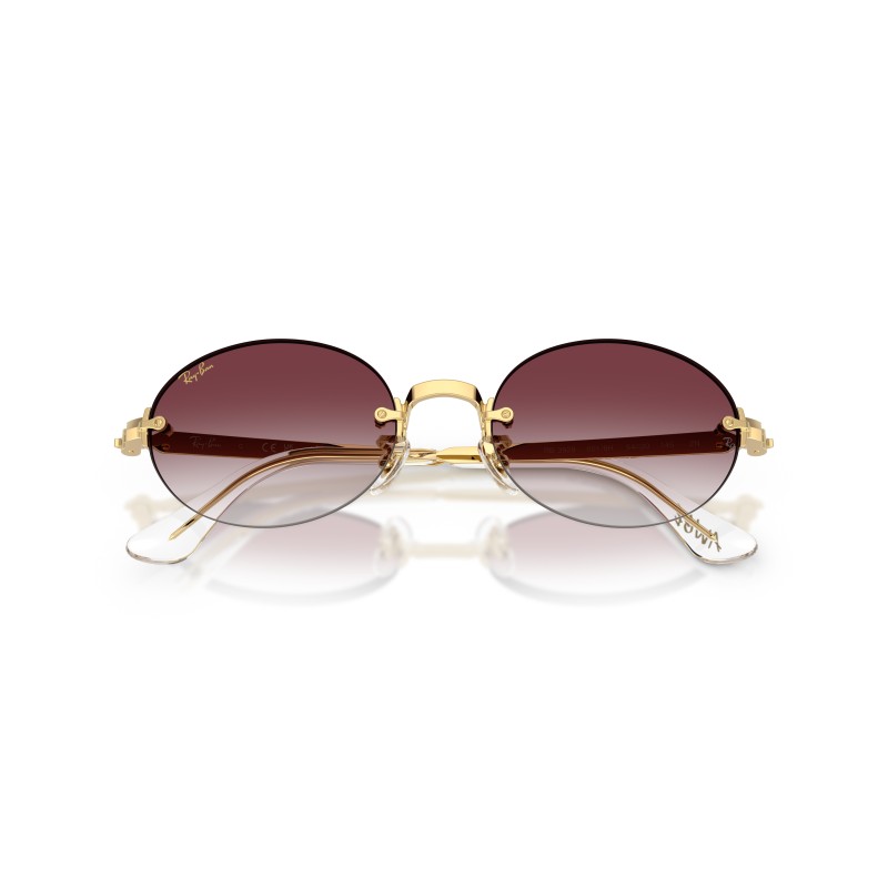 Ray-Ban Frankie RB3929 001/8H - Lunettes Or et Violette Dégradé