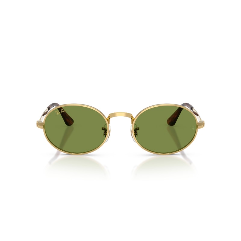 Ray-Ban RB3931 001/4E Oro | Occhiali da Sole Ovali Verdi