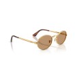 Ray-Ban RB3931 001/53 - Lunettes de Soleil Ovales Or et Brunes