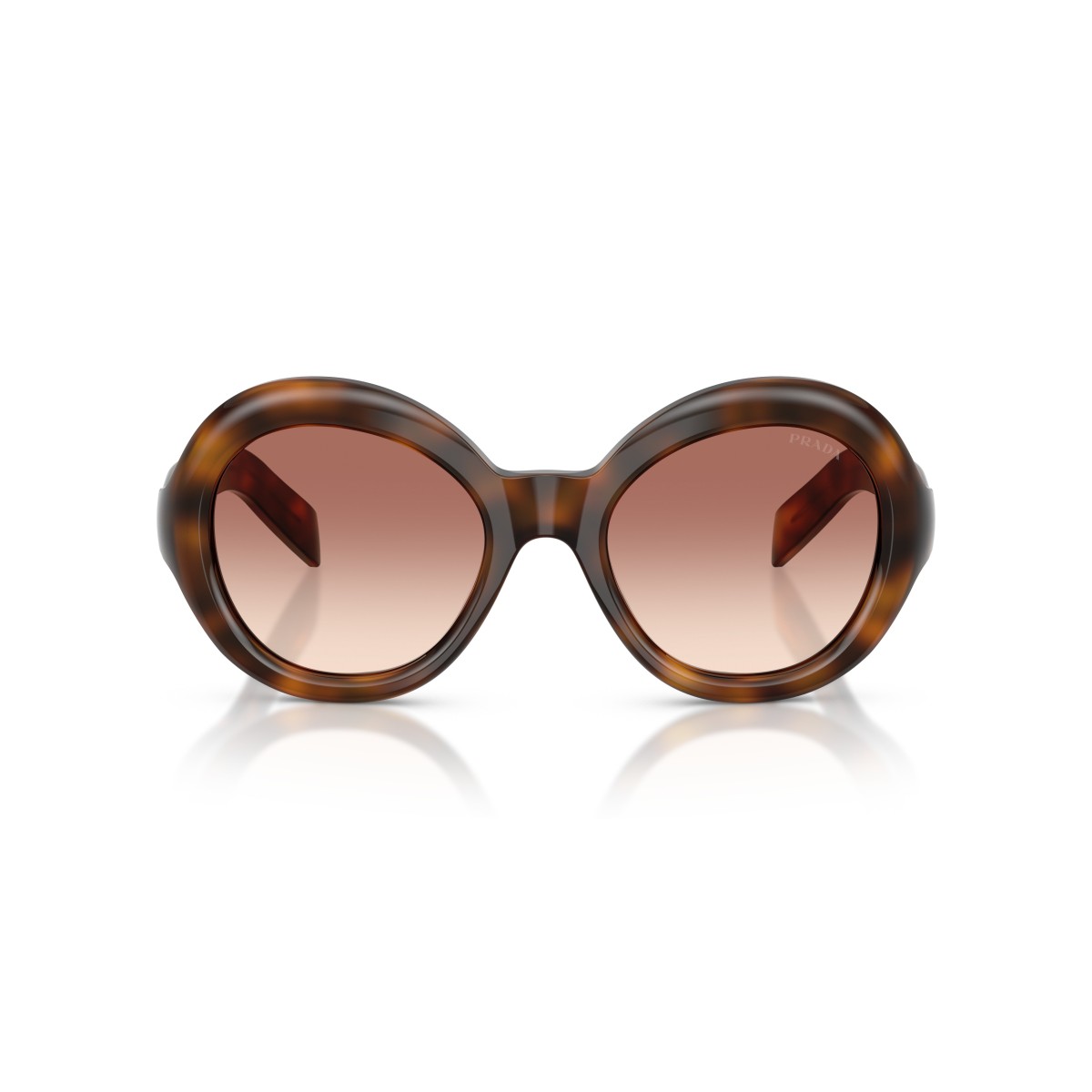 Prada PR D08SU 20D70X : Lunettes de soleil rondes en écaille de tortue Juniper avec verres dégradés marron clair Bordeaux