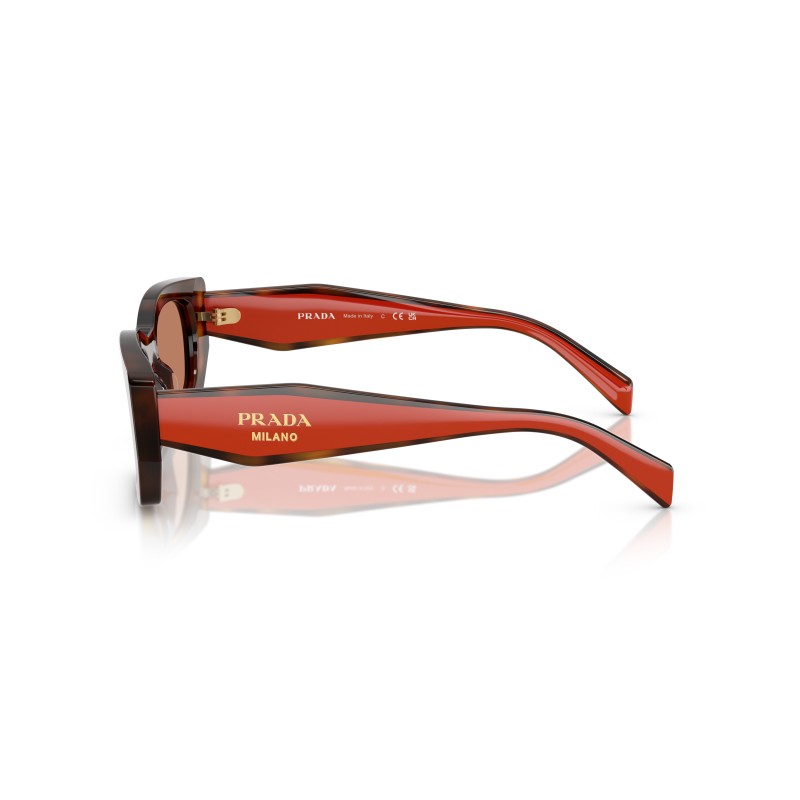 Lunettes Prada PR B05S 01K90Q | Écaille & Orange | Luxe Italien