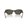 Ray-Ban RB4430 Zena Écaille : Lunettes de Soleil Cat-Eye