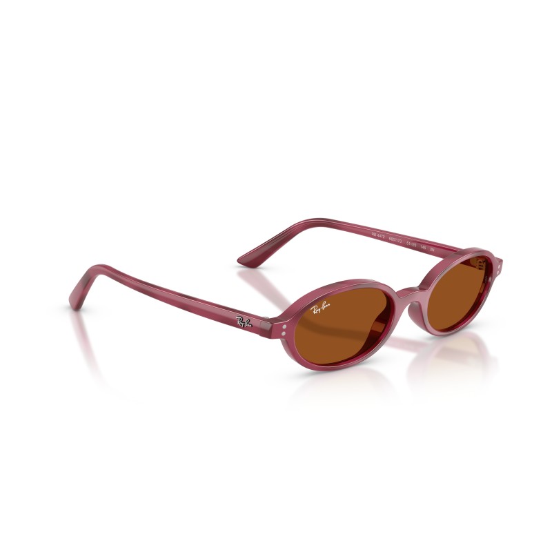 Ray-Ban RB4472 685773 - Lunettes de Soleil Ovales Violet Havana