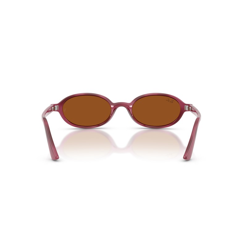 Ray-Ban RB4472 685773 - Lunettes de Soleil Ovales Violet Havana