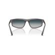 Ray-Ban RB2225 667532 - Lunettes Gris Transparent et Dégradé