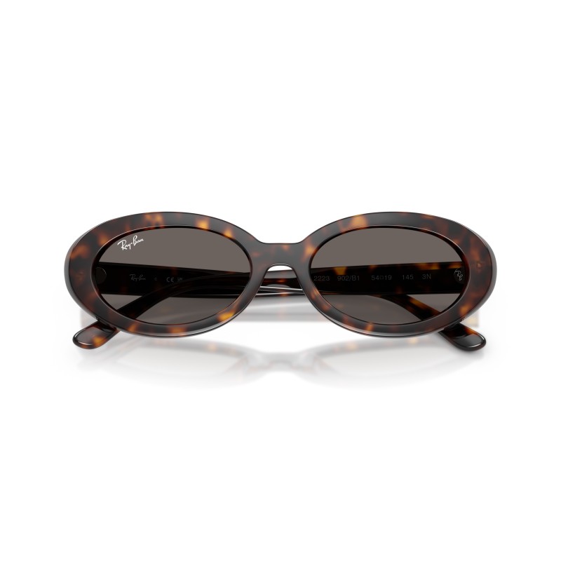 Ray-Ban RB2223 902/B1 Zonnebril