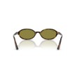 Ray-Ban RB4472 1359/2 : Lunettes de soleil en acétate havane avec verres verts