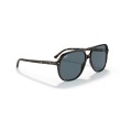 Ray-Ban RB2198 Bill 902/R5 Sunglasses