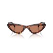 Miu Miu MU B11SU 27L90Q - Lunettes de soleil œil de chat en acétate havane