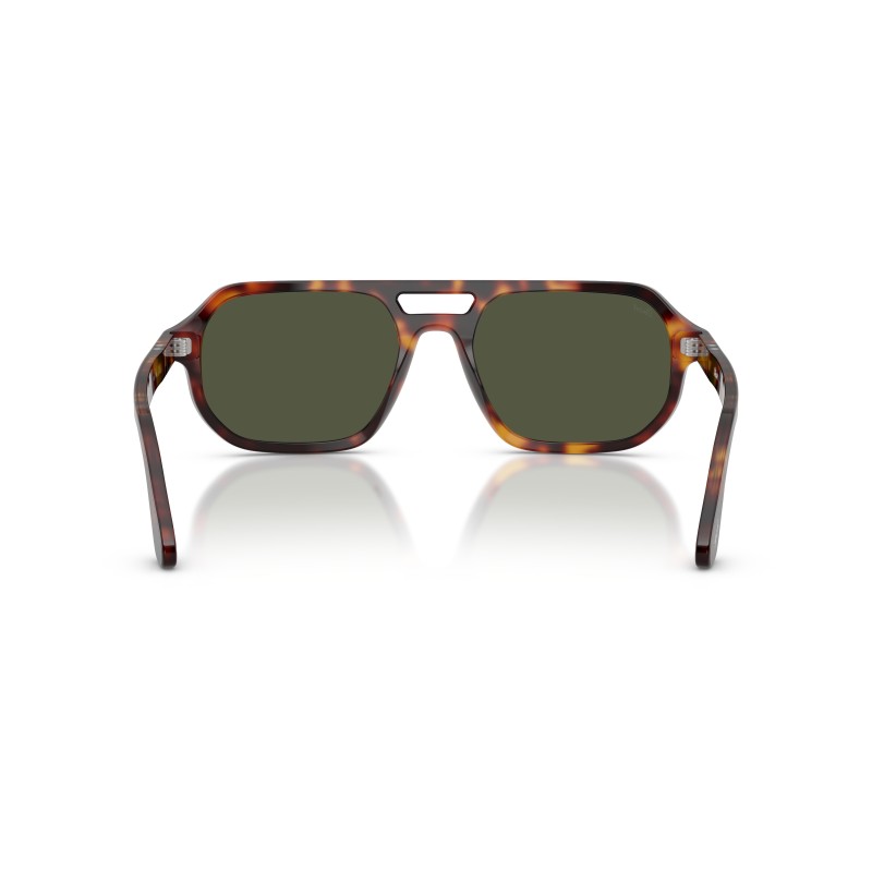 Persol PO3393S - Guido Zonnebril in Havana met Groene Lensen