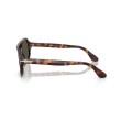 Persol PO3393S - Guido : Lunettes de soleil en acétate havane avec verres verts