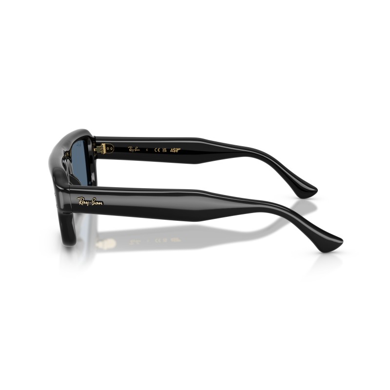 Ray-Ban RB4954 601/80 : Lunettes de soleil Flacko Puffer