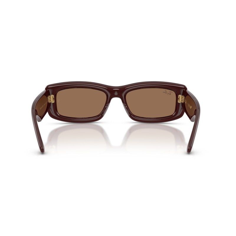 Ray-Ban RB4944 687773: Tijdloze Elegantie in Zonnebrillen