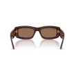 Ray-Ban RB4944 687773: Tijdloze Elegantie in Zonnebrillen